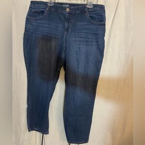 Woman terra & sky jeans 18 w petite straight